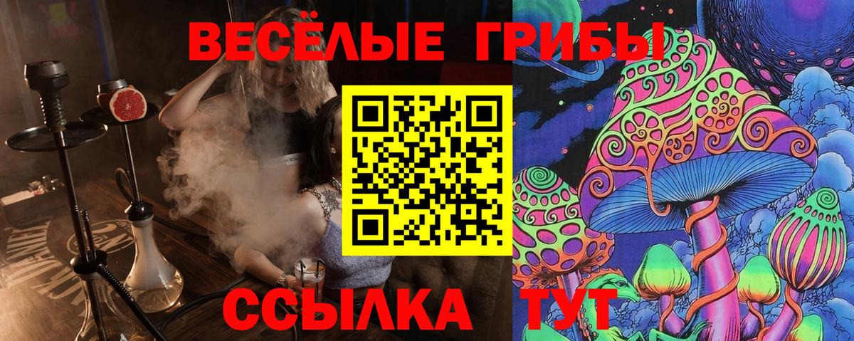 Псилоцибиновые грибы мицелий  Вход с VPN  Новотроицк 